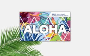 Mailing Zahnarztbedarf NIHO